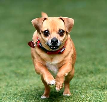 Photo of Sammy