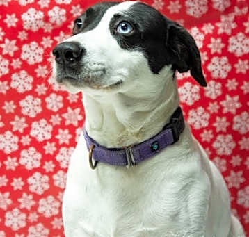 Photo of Emma