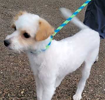 Photo of Snowy
