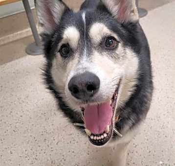 Photo of BUCKY