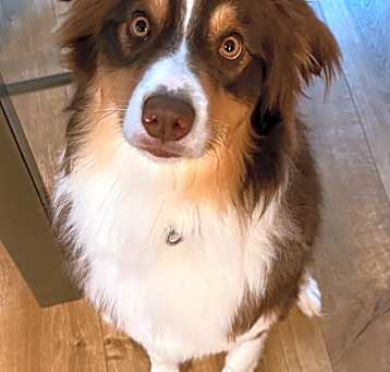 Photo of Jinx