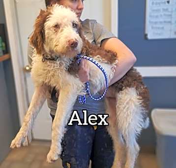 Photo of Alex