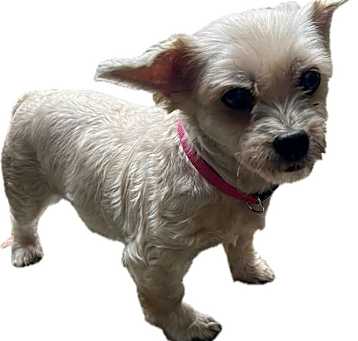 Photo of UNICA