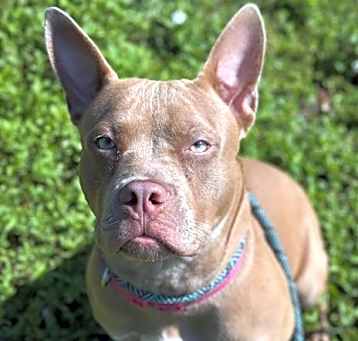 Photo of SUGAR