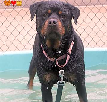 Photo of SOOKI