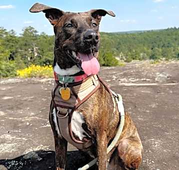 Photo of Tenley