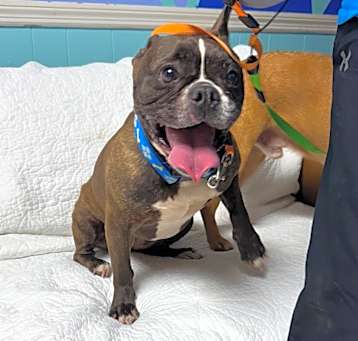 Photo of Little Lulu