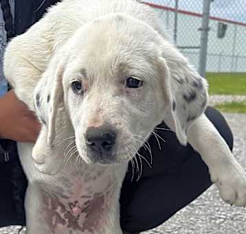 Photo of Baxter