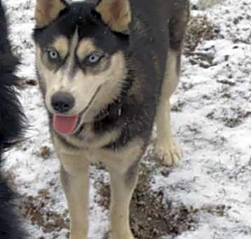 Photo of Lily