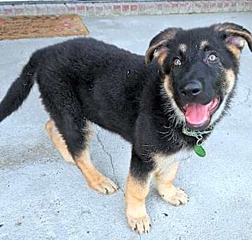Photo of Major
