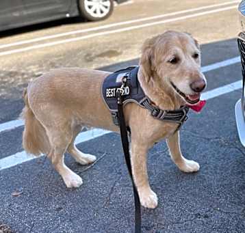 Photo of Bentley