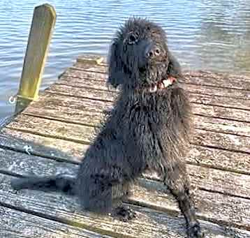 Photo of Jack