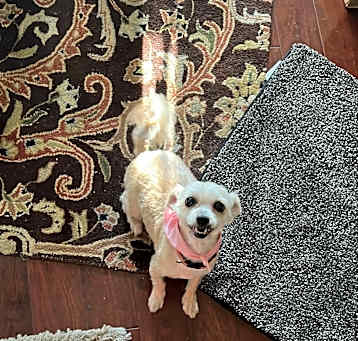 Photo of Sophie
