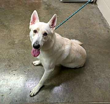 Photo of Izzy