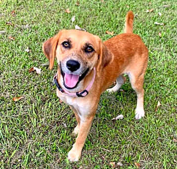 Photo of Annabelle