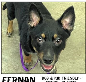 Photo of Fernan