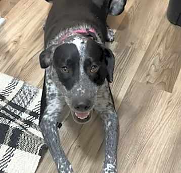 Photo of Ruby