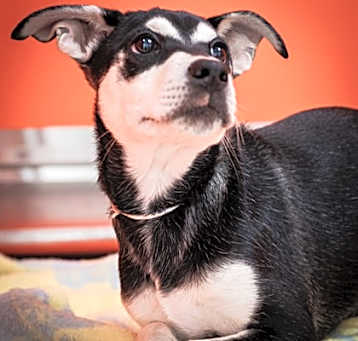 Photo of Kiki