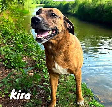 Photo of Kira