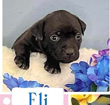 Photo of Eli