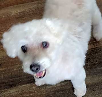 Photo of Matty