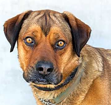 Photo of Lucas