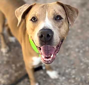 Photo of TOBI