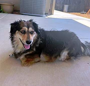 Photo of Stella