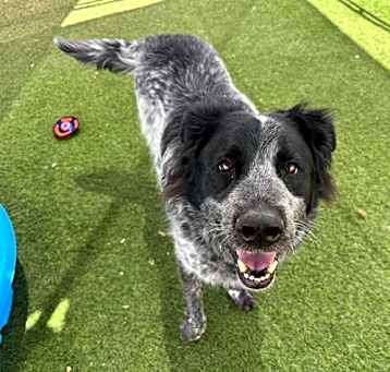 Photo of STARK