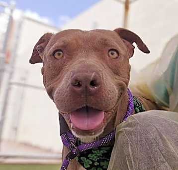 Photo of BELINDA