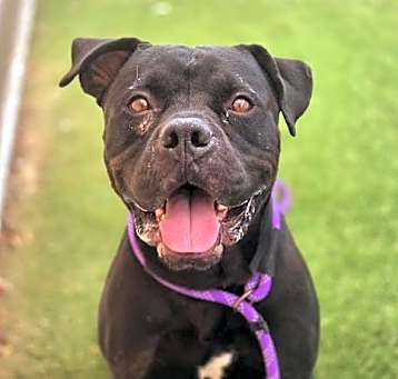 Photo of JUMBA
