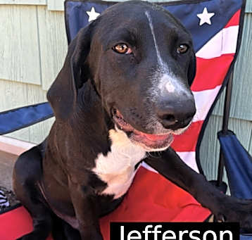 Photo of Jefferson