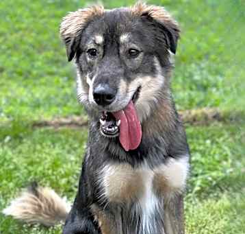 Photo of Tobi
