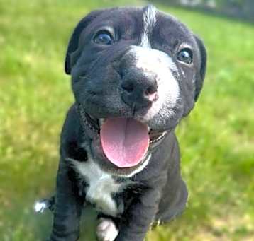 Photo of Jelly Roll * in foster care