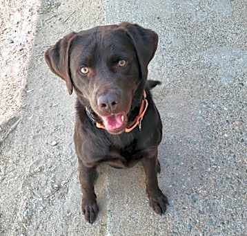 Photo of Tank
