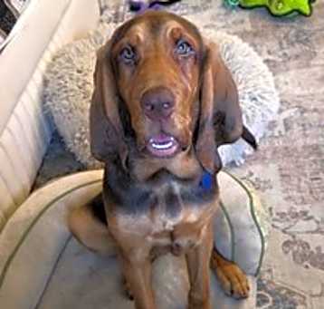 Photo of Dorothy