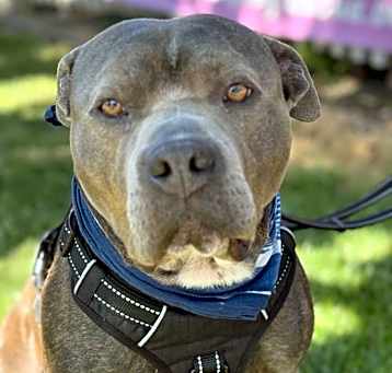 Photo of Monty