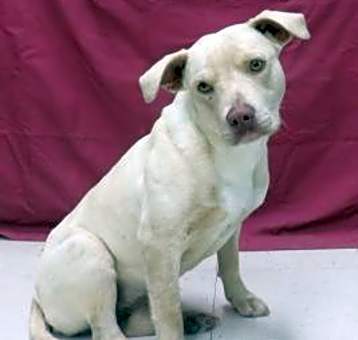 Photo of Kaya