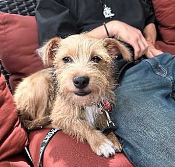 Photo of Dolly (Muñeca)