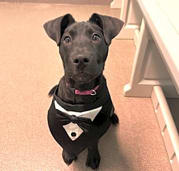 Photo of Maggie