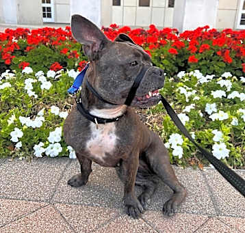 Photo of Peggy