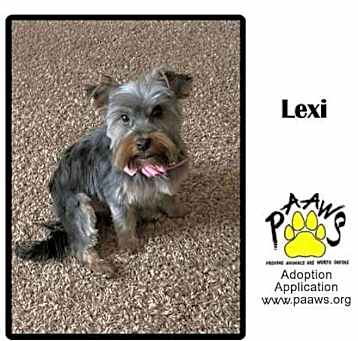 Photo of Lexi
