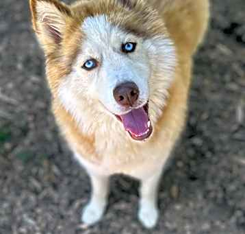 Photo of Addie