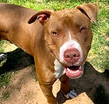 Photo of Murphy