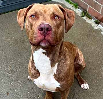 Photo of Cash