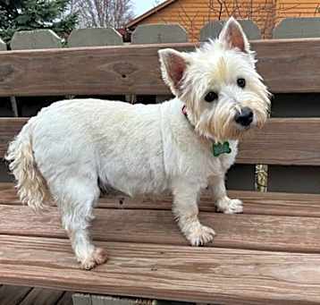 Photo of Bonnie