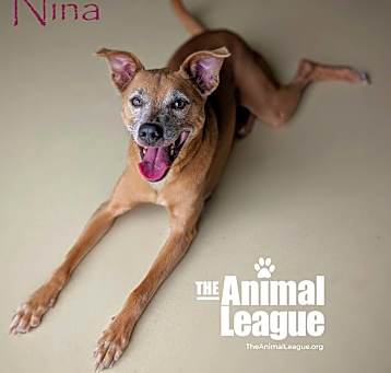 Photo of Nina