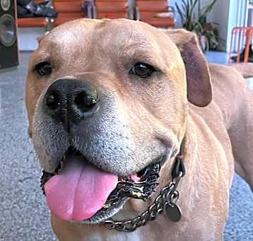 Photo of Leo