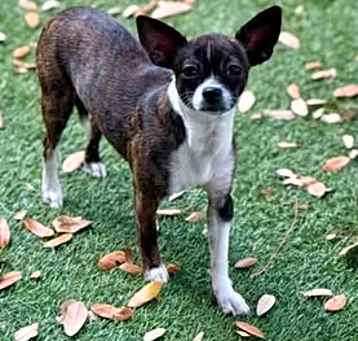 Photo of Lulu