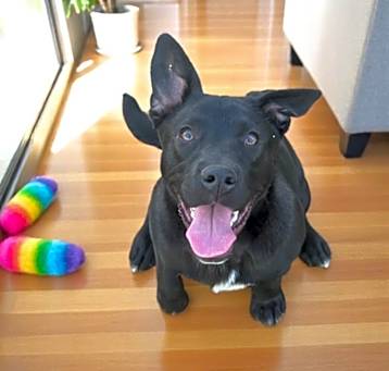 Photo of Gus